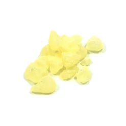 Gum Mastic, 10g