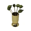 Set of 6 Olive Picks