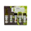 Short Dated Monin Cocktail Syrup Set, 5 x 50ml