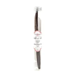 Terre Exotique Vanilla from Tahiti, 1 pod