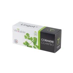 Veritable Herb Lingot Insert, Organic Coriander